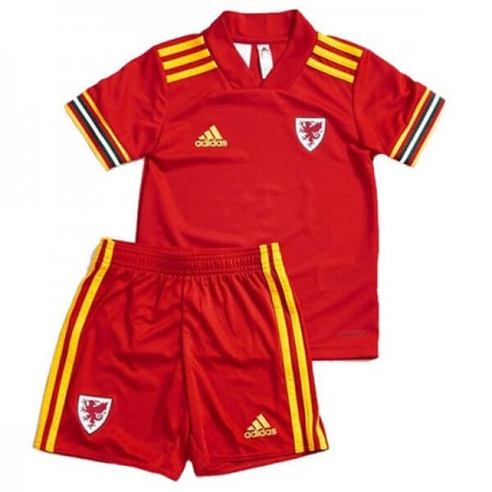 Wales Kind Thuis Tenue EK 2020